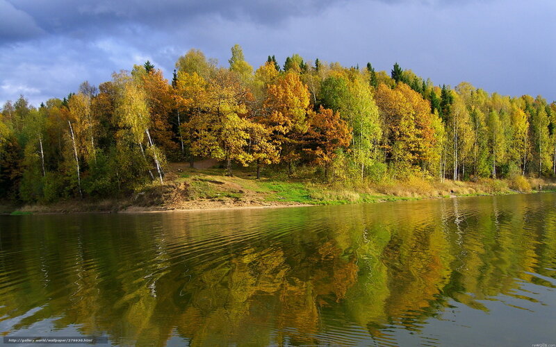 Autumn Forest by Lake — Green, Dramatic