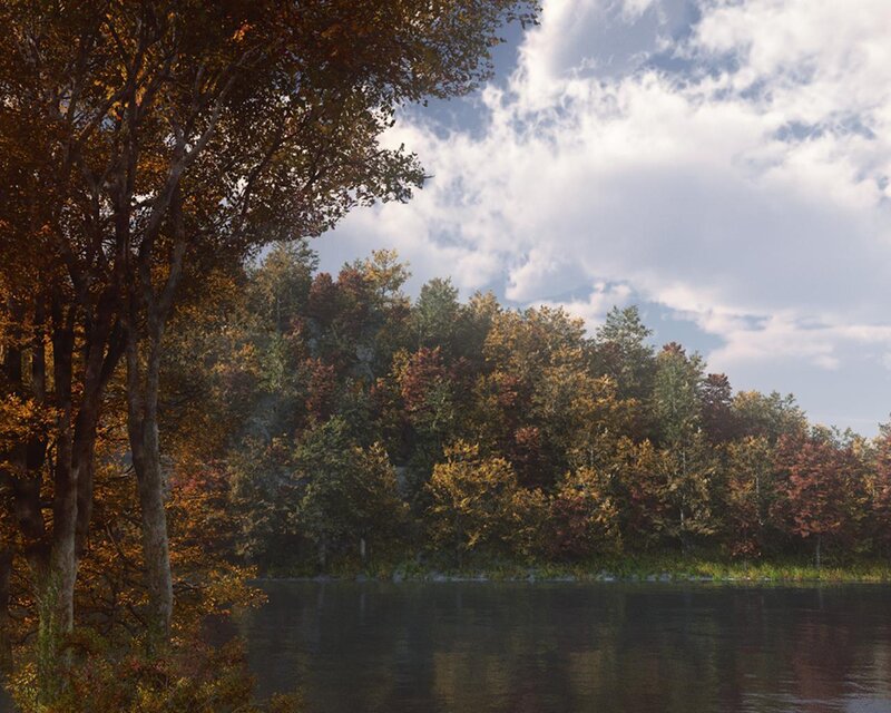 Autumn Forest by Lake — Green, Serene, 3d Render