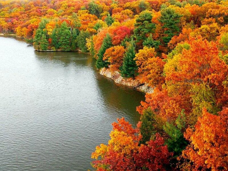 Autumn Forest by Lake — Orange, Serene, Photograph