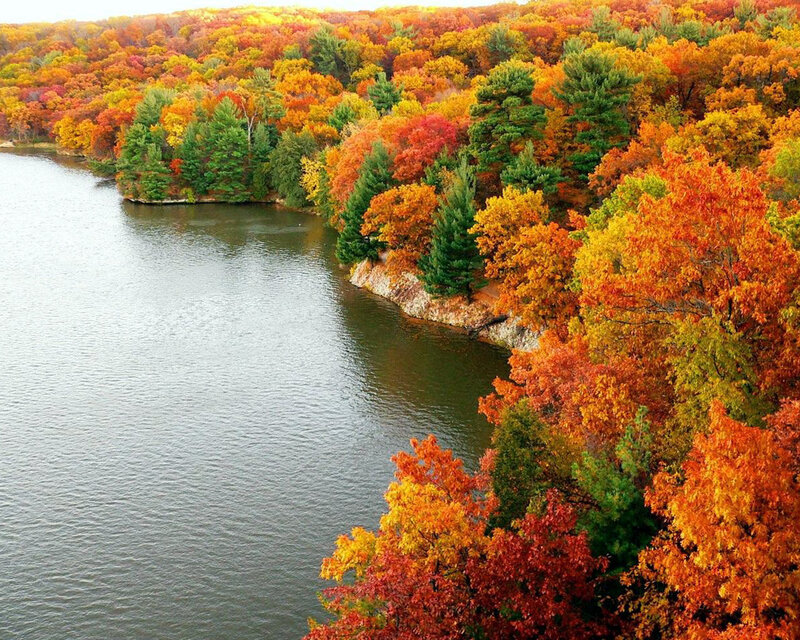 Autumn Forest by Lake — Orange, Serene, Photograph, Trees, Red, Green