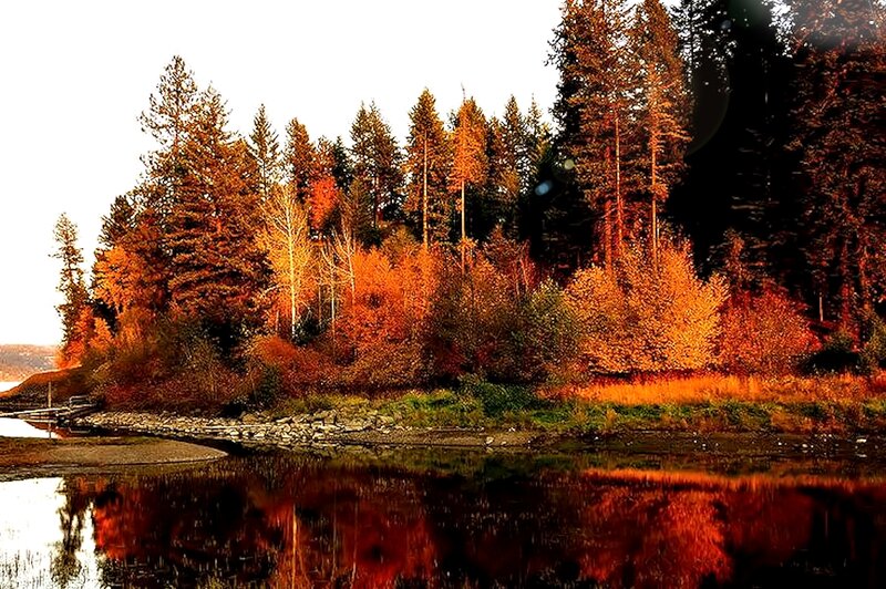 Autumn Forest by Lake — Orange, Serene, Photograph, Trees, Reflection