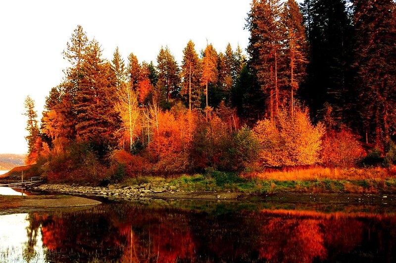 Autumn Forest by Lake — Orange, Serene, Sunset