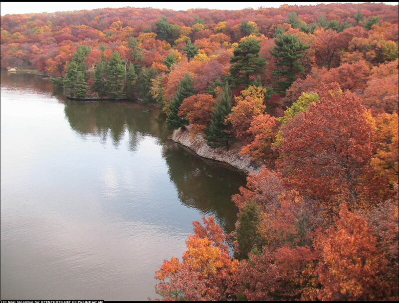 Autumn Forest by Lake — Orange