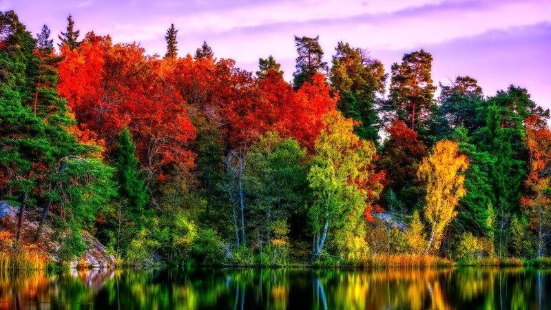 Autumn Forest by Lake — Red, Serene, Sunset, Photograph