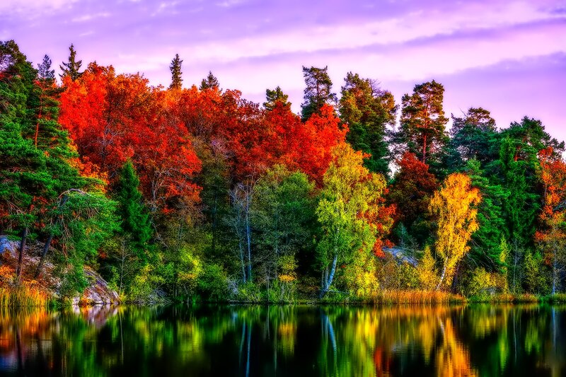 Autumn Forest by Lake — Red, Serene, Sunset