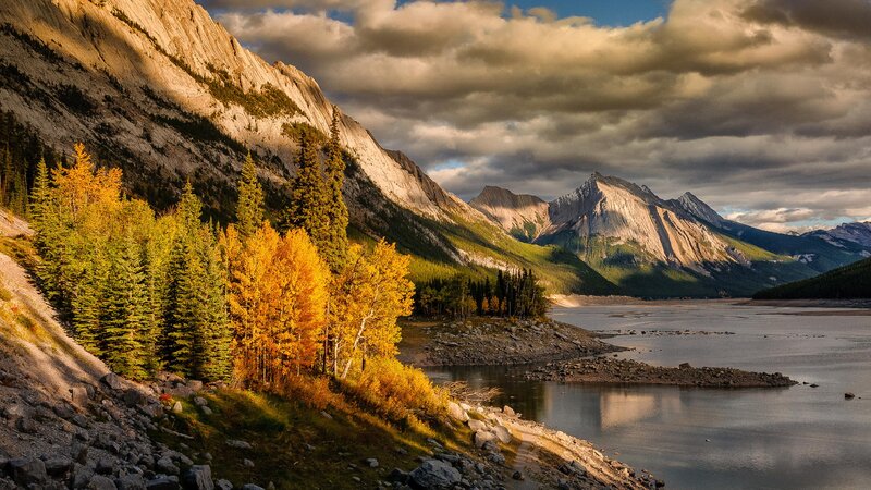 Autumn Forest by Lake — Yellow, Dramatic