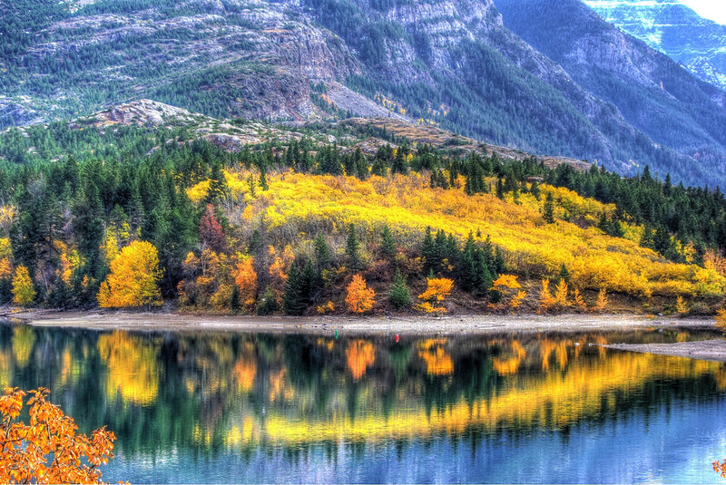 Autumn Forest by Lake — Yellow, Serene
