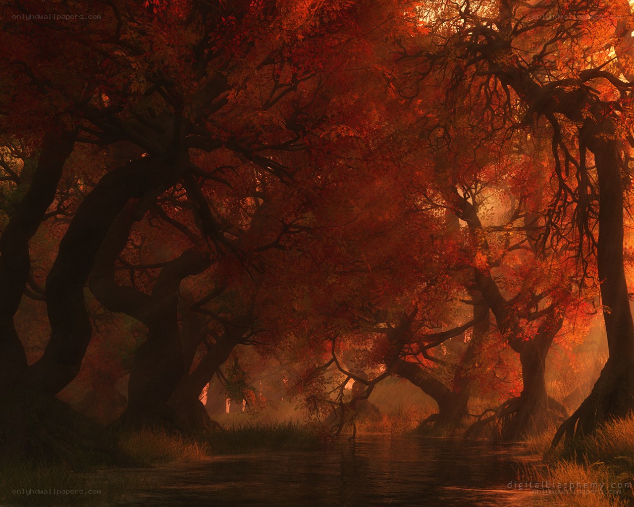 Autumn forest by river
