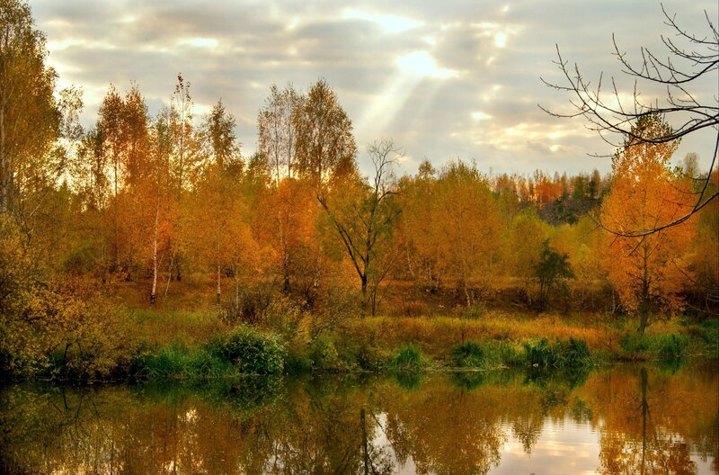 Autumn forest by the lake