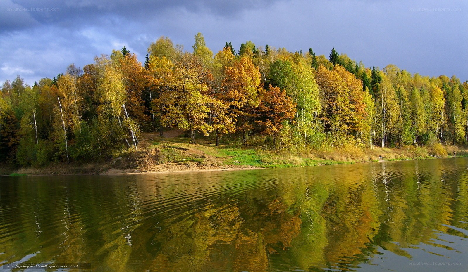 Autumn forest by the lake