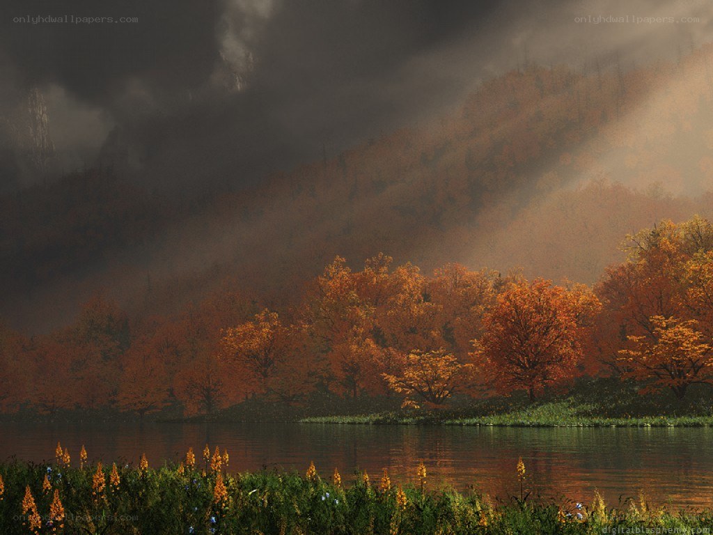 Autumn forest by the lake