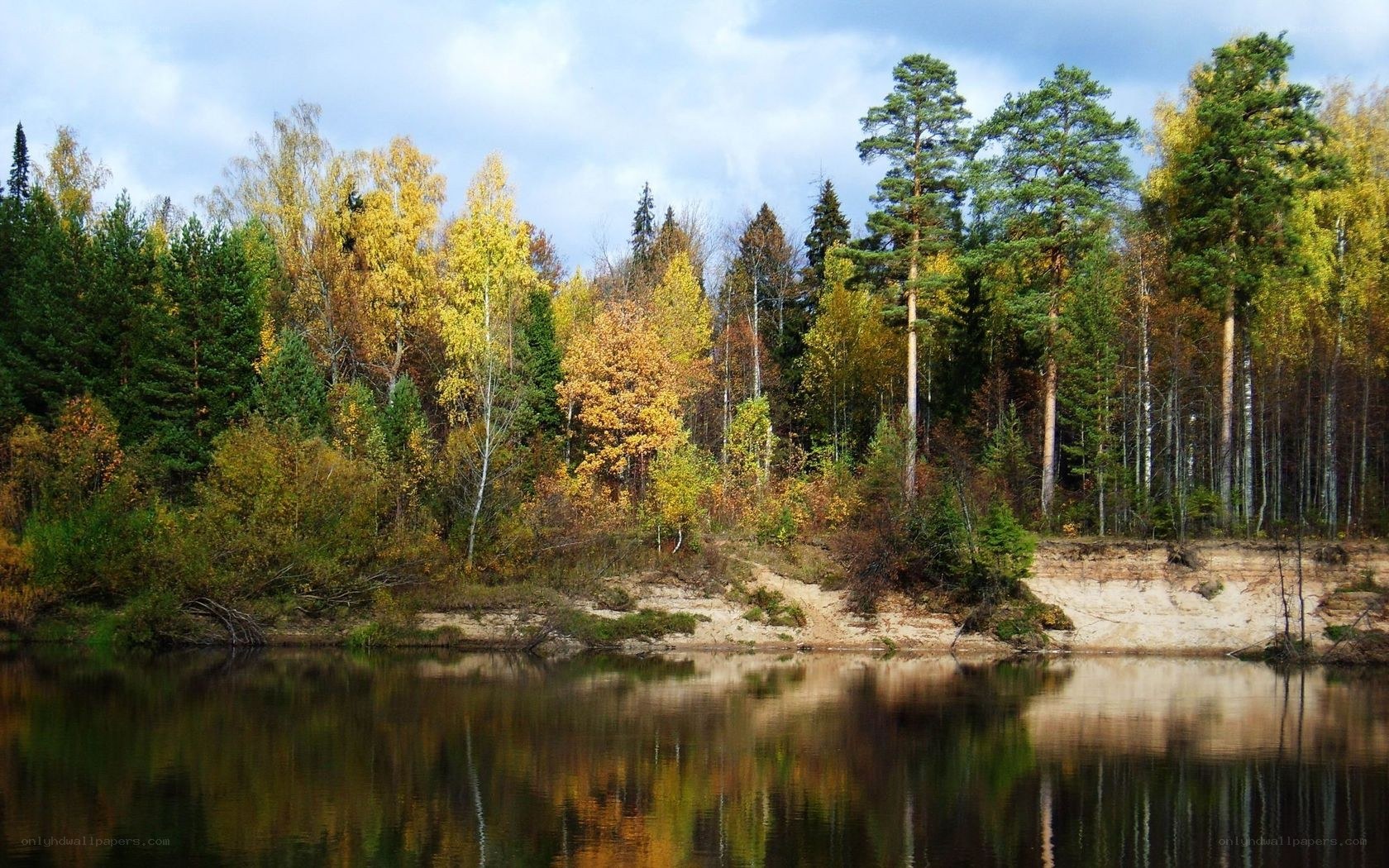 Autumn forest by the river