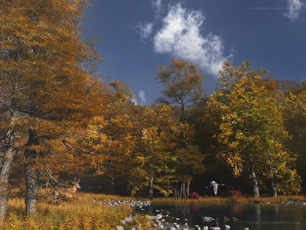 Autumn forest by the river