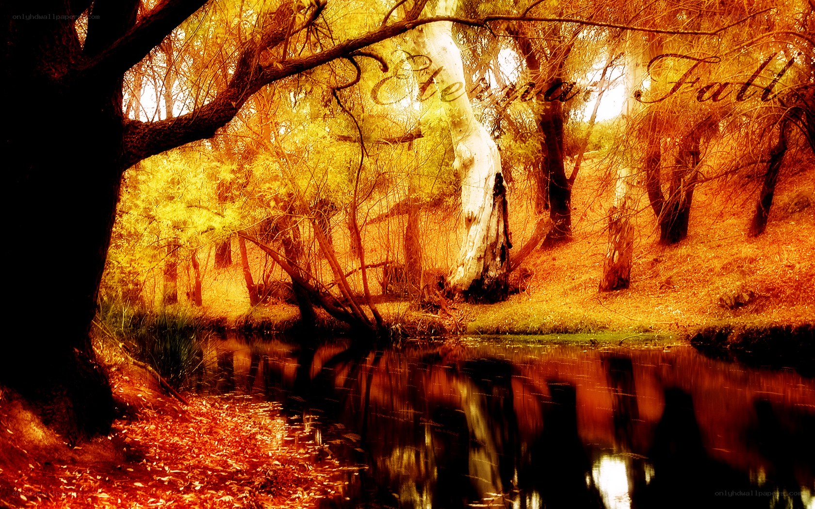 Autumn forest by the river
