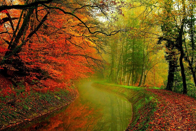 Autumn Forest Canal — Red