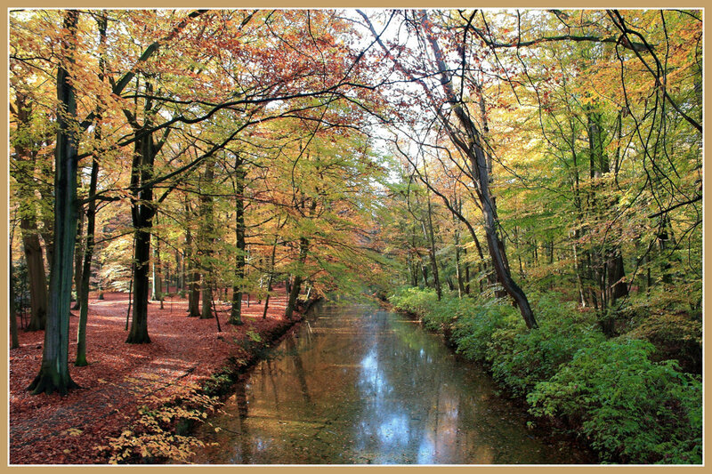 Autumn forest canal