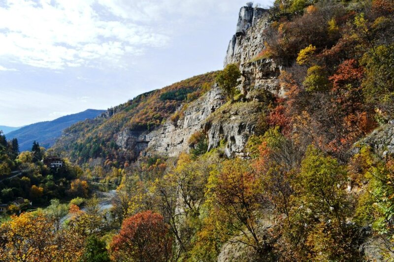 Autumn Forest Canyon — Green