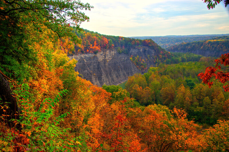 Autumn Forest Canyon — Orange, Serene