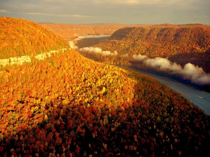 Autumn Forest Canyon
