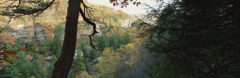 Autumn forest canyon view
