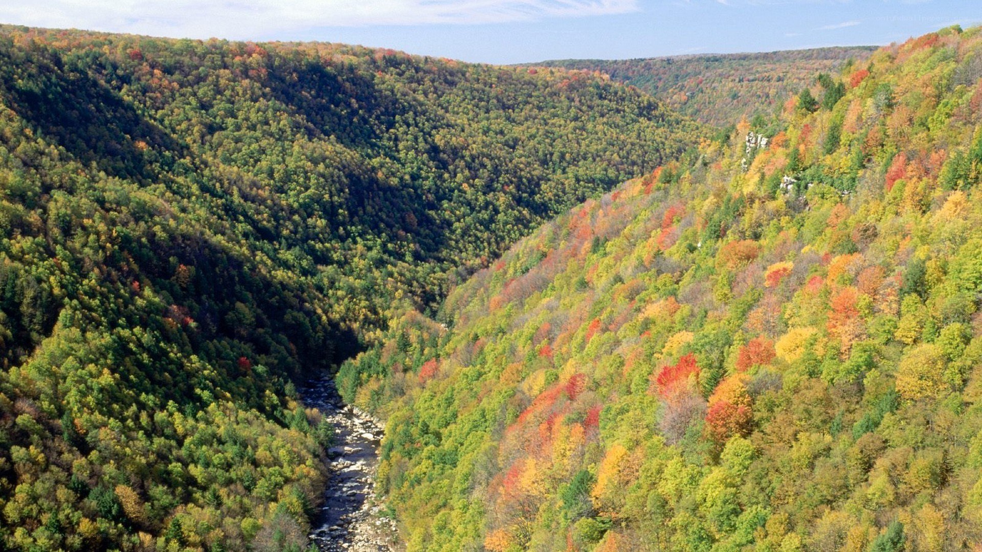 autumn forest canyon view