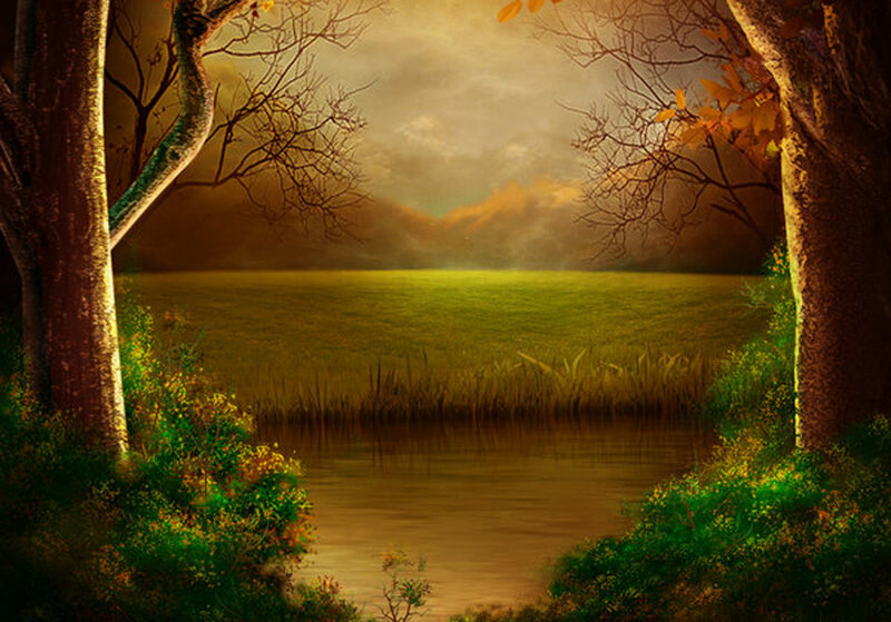 Autumn forest clearing