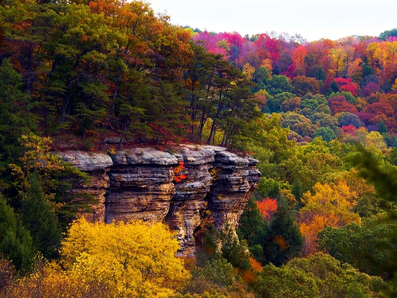 Autumn Forest Cliff
