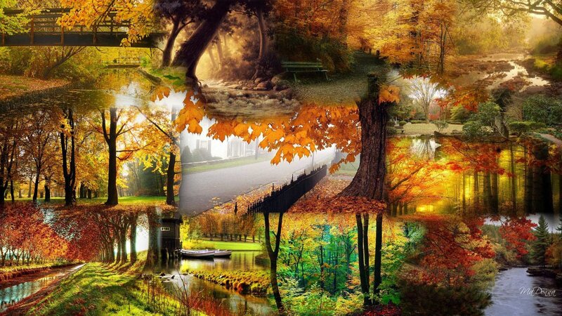 autumn forest collage