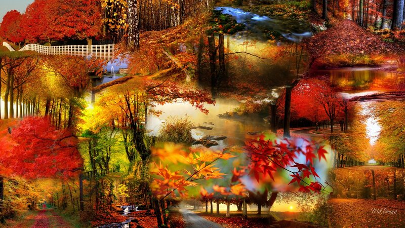 Autumn Forest Collage — Red