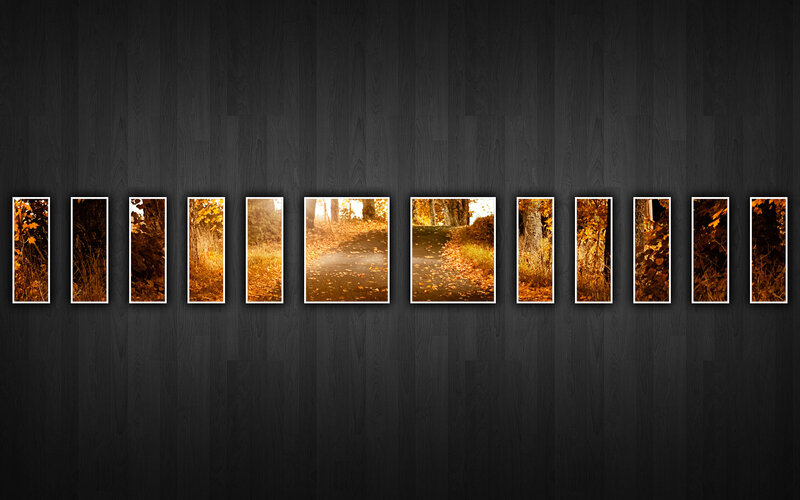 Autumn forest collage