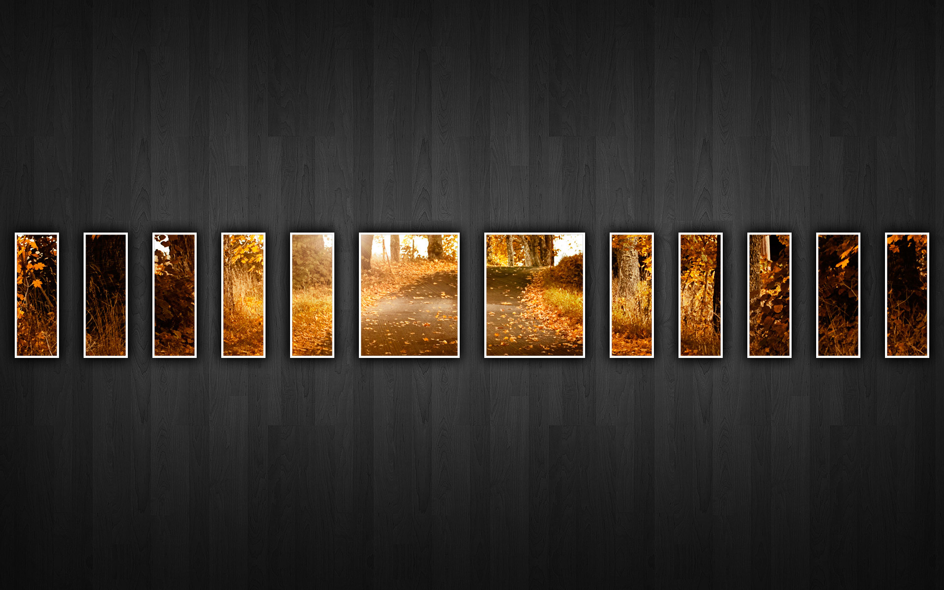 Autumn forest collage