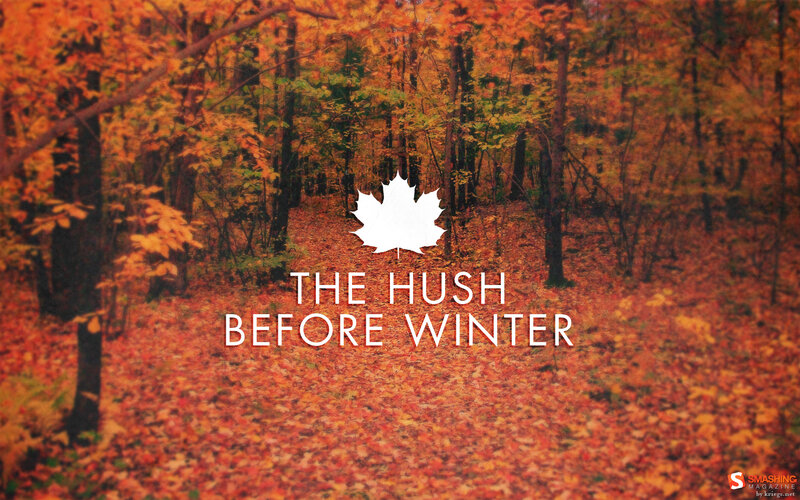 Autumn Forest Floor — Orange, Serene, Photograph, Maple Leaf