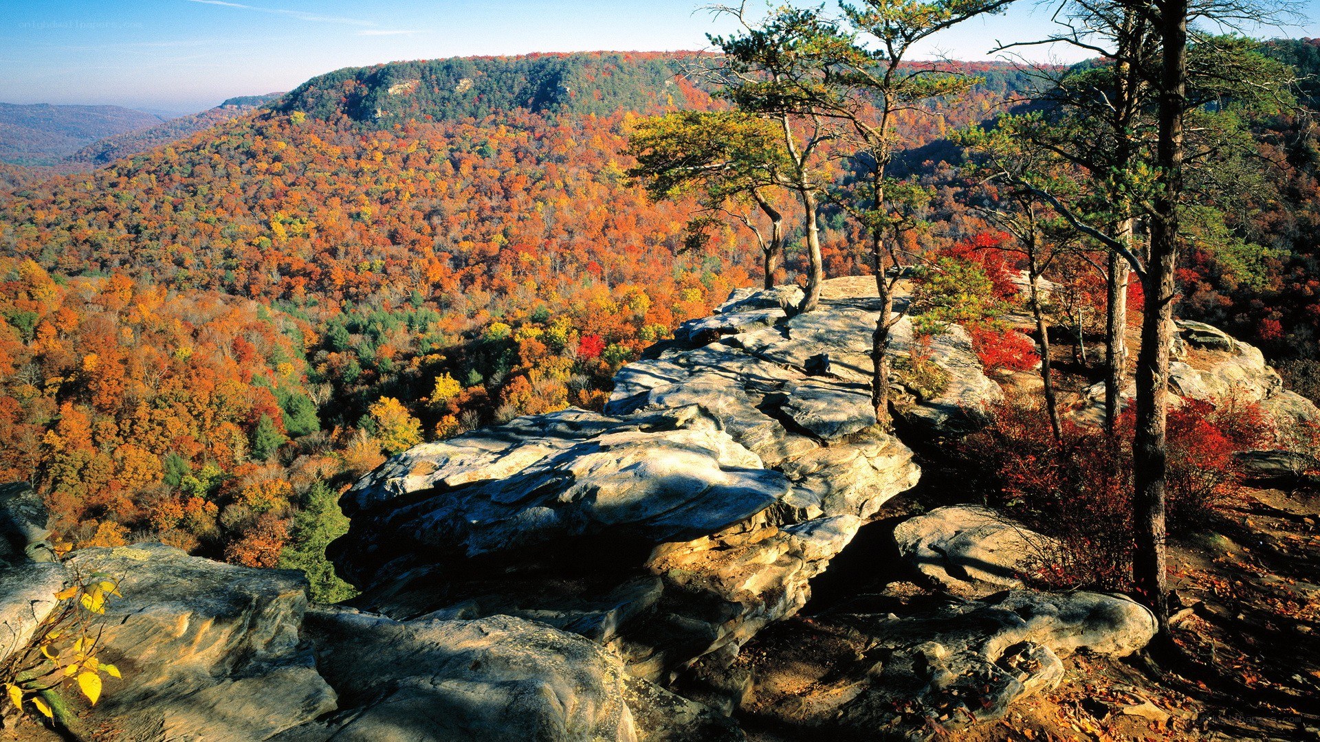 Autumn forest from rocky overlook