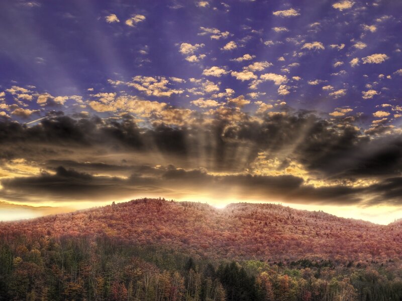 Autumn Forest Hill — Purple, Dramatic