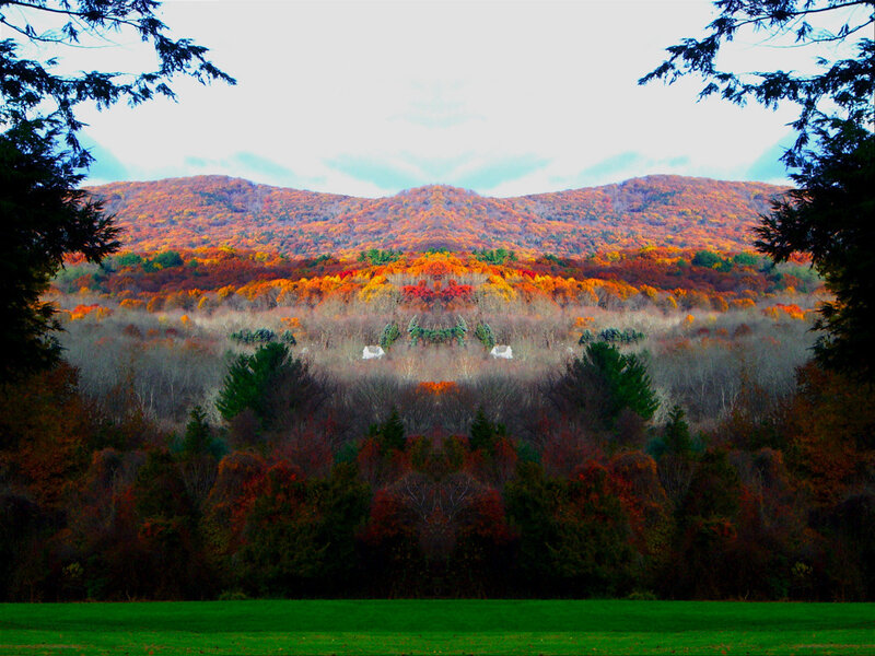 Autumn Forest Hills — Green, Serene