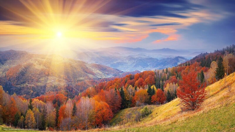Autumn Forest Hills — Orange, Dramatic, Sunset, Photograph, Sun