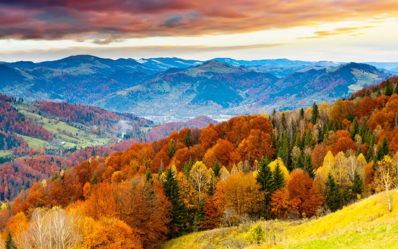 Autumn Forest Hills — Orange, Dramatic, Sunset, Photograph