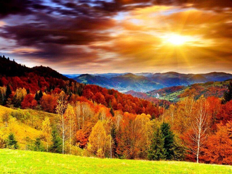 Autumn Forest Hills — Orange, Dramatic, Sunset