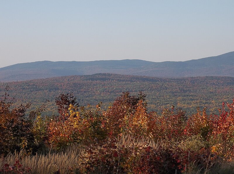 Autumn Forest Hills — Orange, Serene, Photograph, Trees
