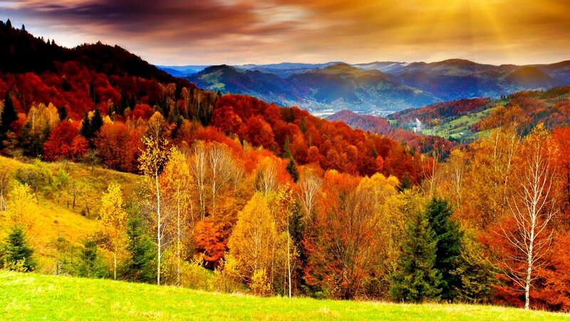 Autumn Forest Hills — Red, Dramatic, Sunset
