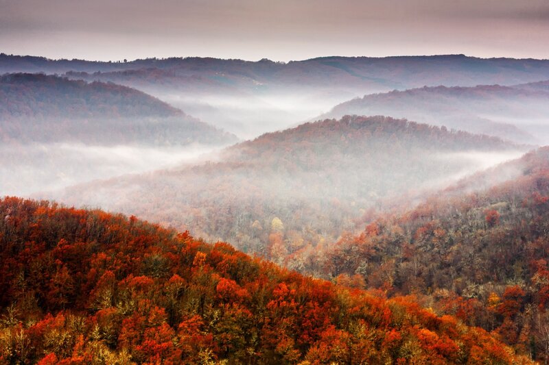 Autumn Forest Hills — Red, Serene, Photograph, Fog, Trees