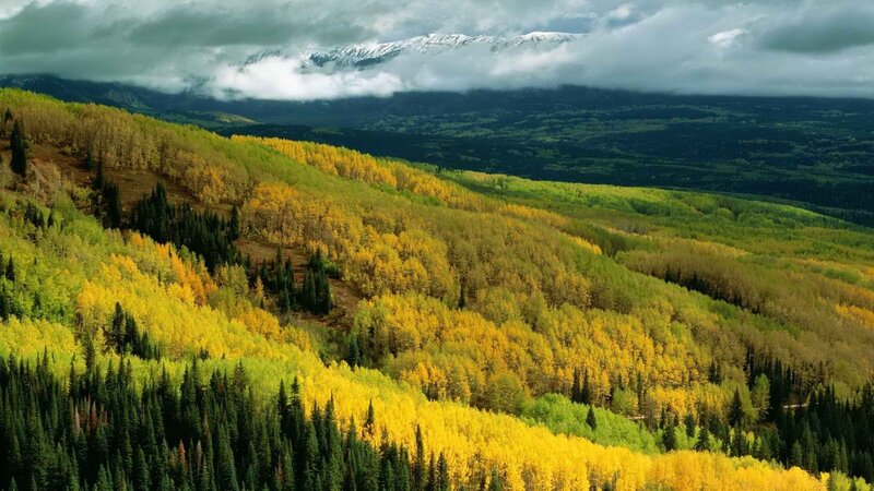 Autumn Forest Hills — Yellow, Dramatic, Photograph, Mountains, Clouds