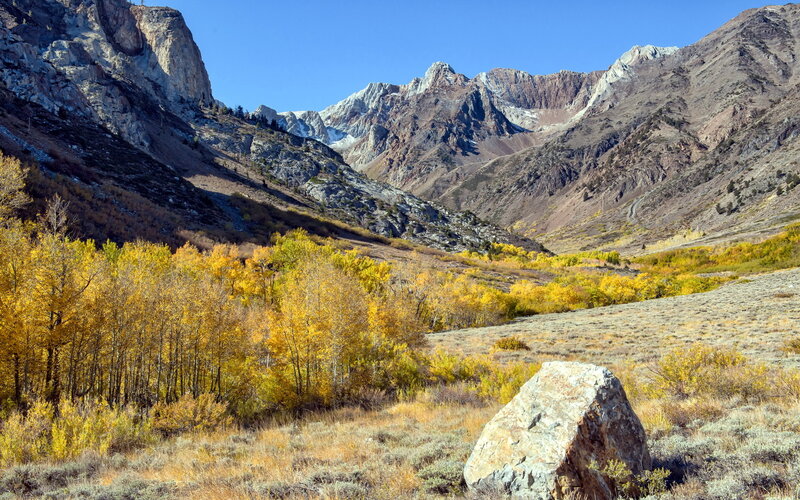 Autumn Forest in Mountain Valley