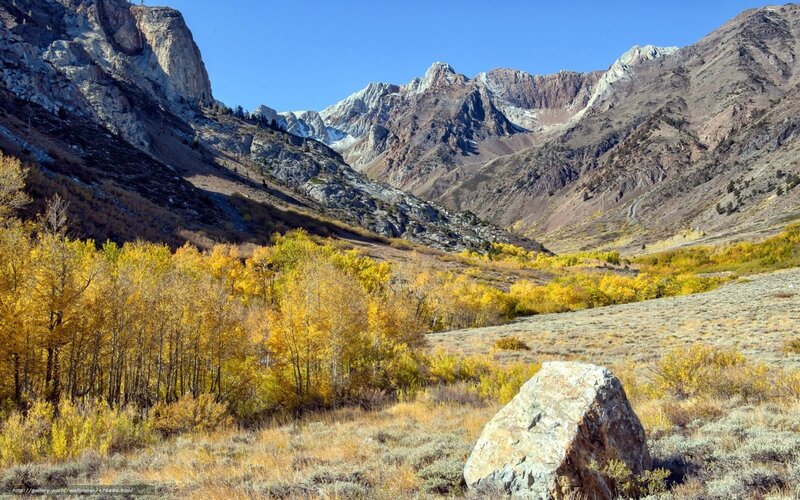 Autumn Forest in Mountains — Yellow