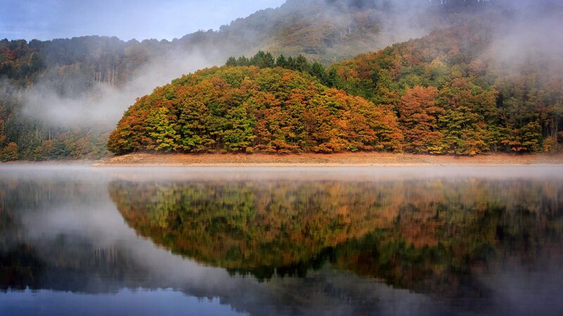 Autumn Forest Island — Green