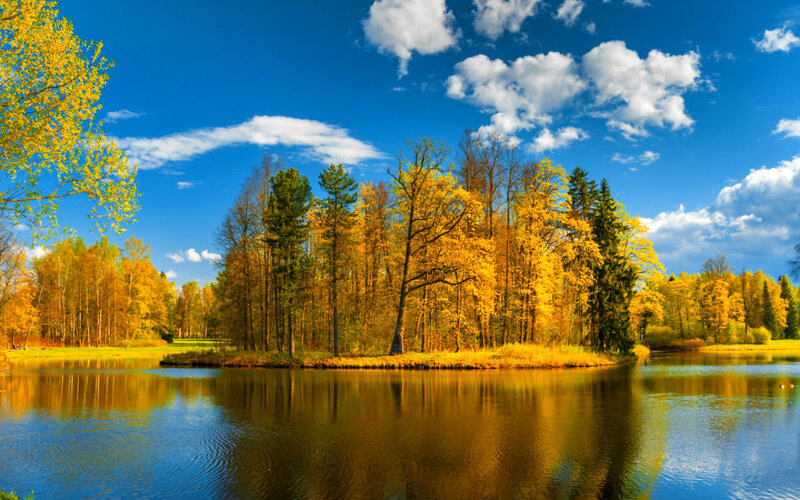 Autumn Forest Island