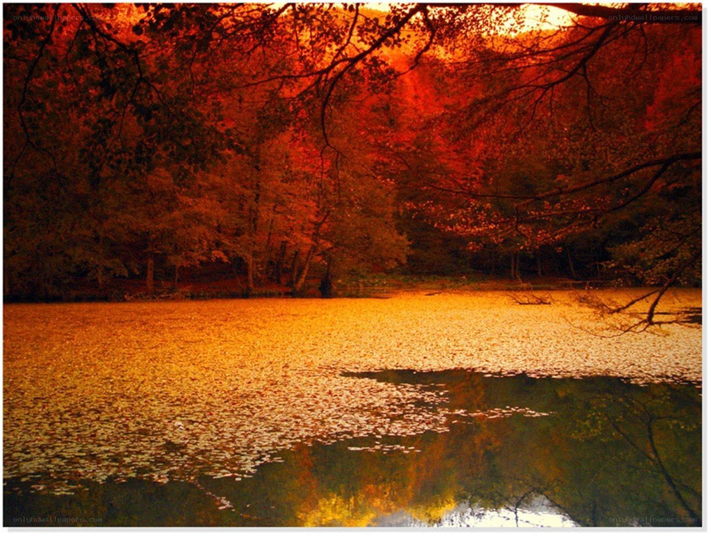 Autumn forest lake