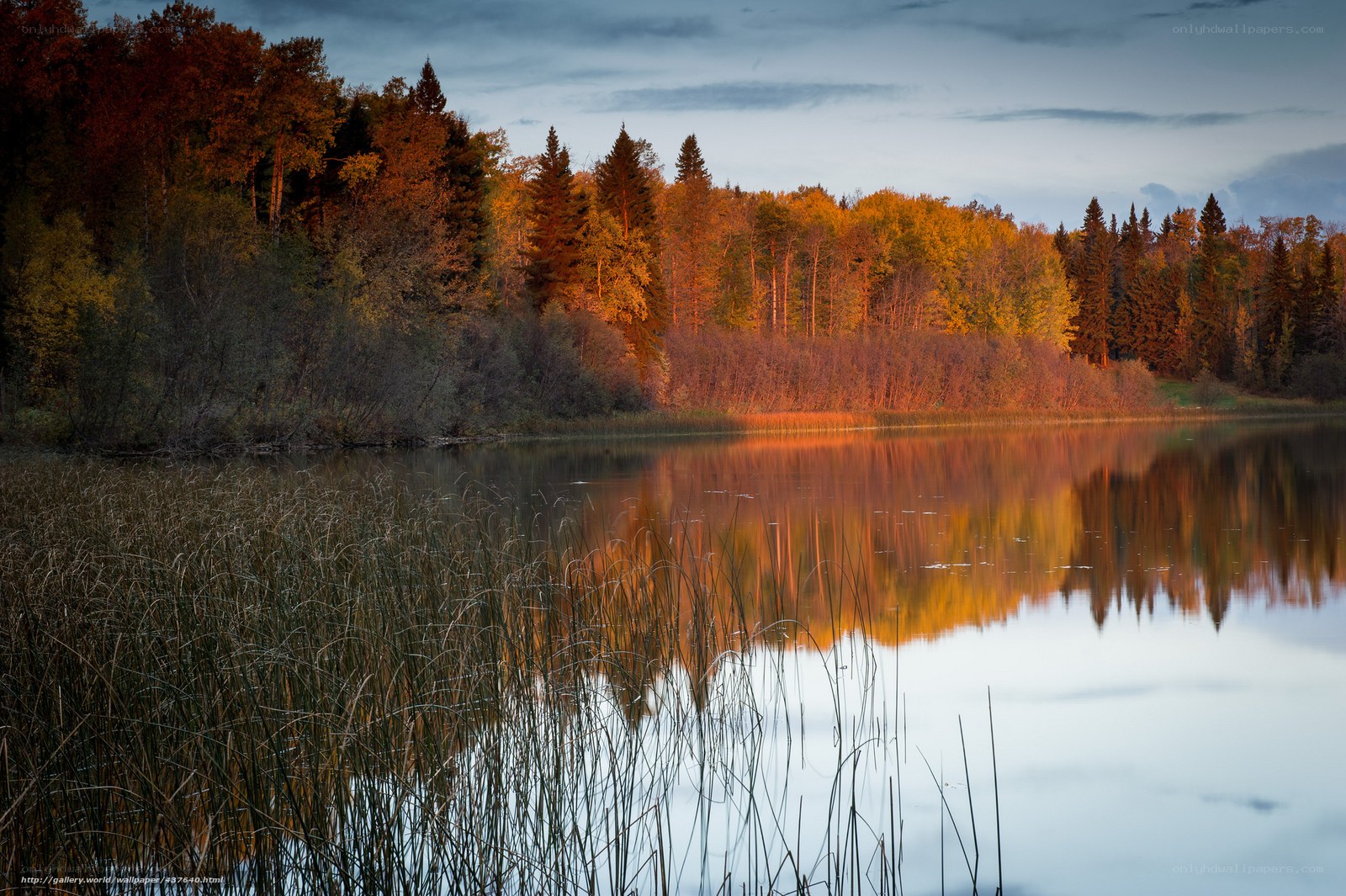 Autumn forest lake at dusk