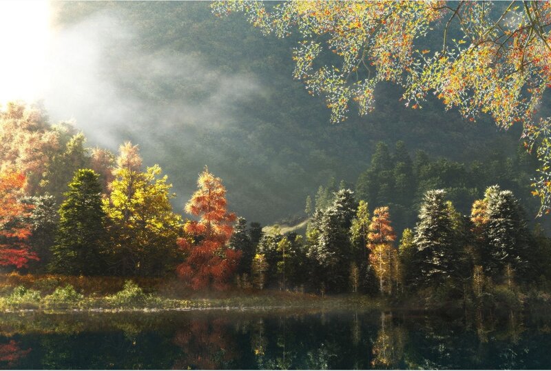 Autumn forest lake at sunrise