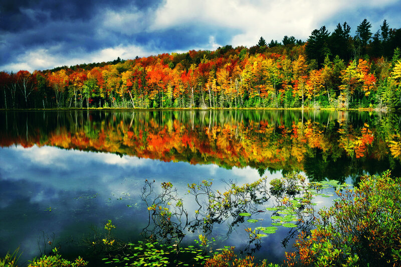 Autumn Forest Lake — Blue, Dramatic, Photograph, Trees, Reflection